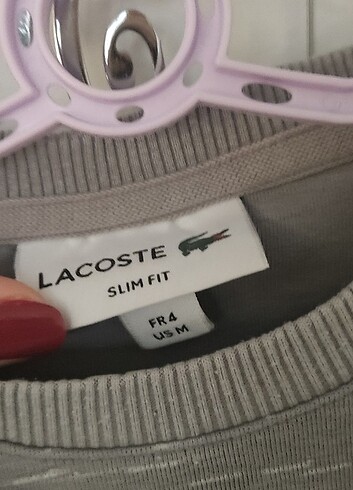 Orijinal Lacoste sweatshirt 