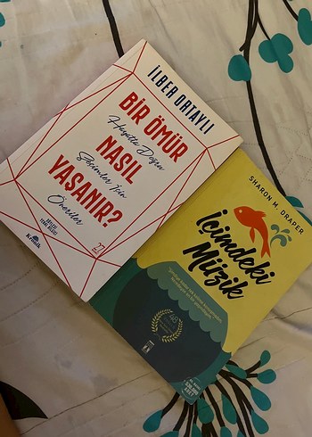 İlber Ortaylı ve Sharon M. Draper Kitapları - Görsel 2