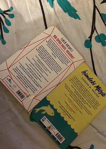 İlber Ortaylı ve Sharon M. Draper Kitapları - Görsel 3