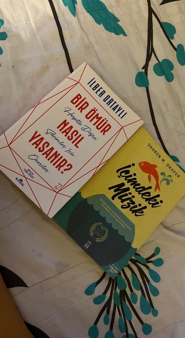 İlber Ortaylı ve Sharon M. Draper Kitapları - Görsel 2