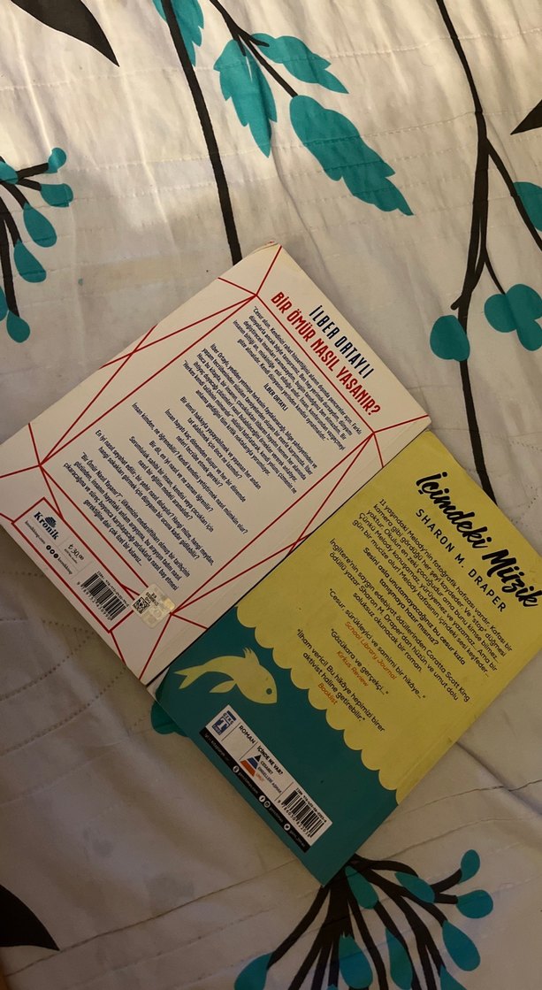 İlber Ortaylı ve Sharon M. Draper Kitapları - Görsel 3