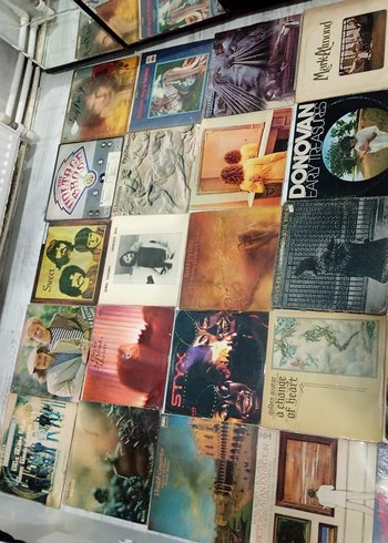 Yabancı antika Çeşitli Plak Albümleri Koleksiyonu - Görsel 9