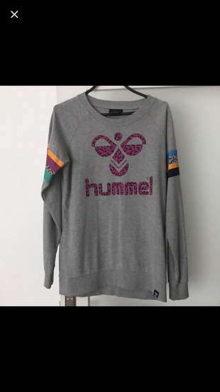 Hummel gri