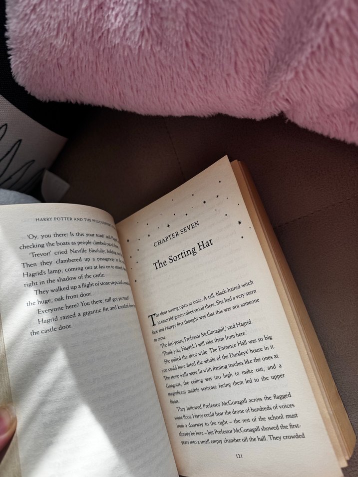 İngilizce Harry Potter ve Felsefe Taşı - J.K. Rowling - Görsel 2