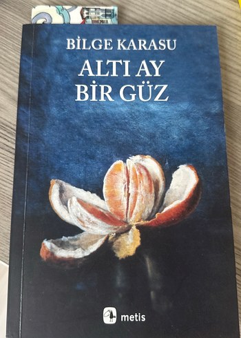 Altı Ay Bir Güz Bilge Karasu