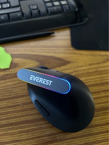 mouse