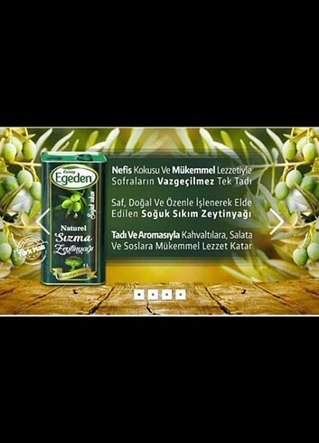  Beden Soğuk sıkım Sızma Zeytinyağı 