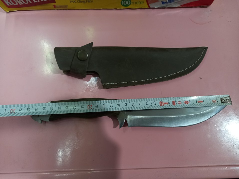 Horoz başlıklı avcı - Görsel 2