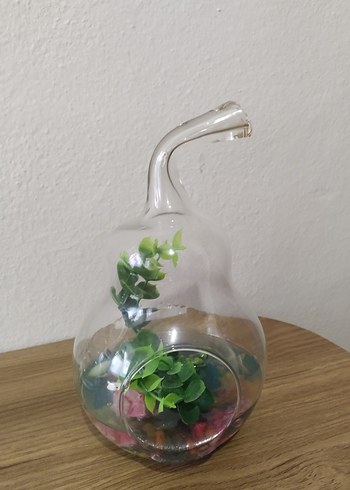 Armut Şeklinde Teraryum Cam Fanus - Görsel 4