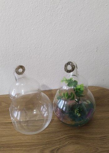 Armut Şeklinde Teraryum Cam Fanus - Görsel 6