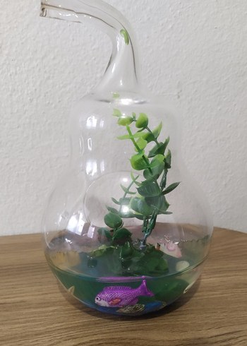 Armut Şeklinde Teraryum Cam Fanus - Görsel 5