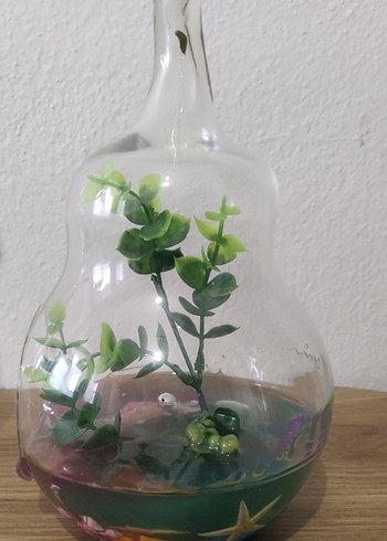 Armut Şeklinde Teraryum Cam Fanus - Görsel 3