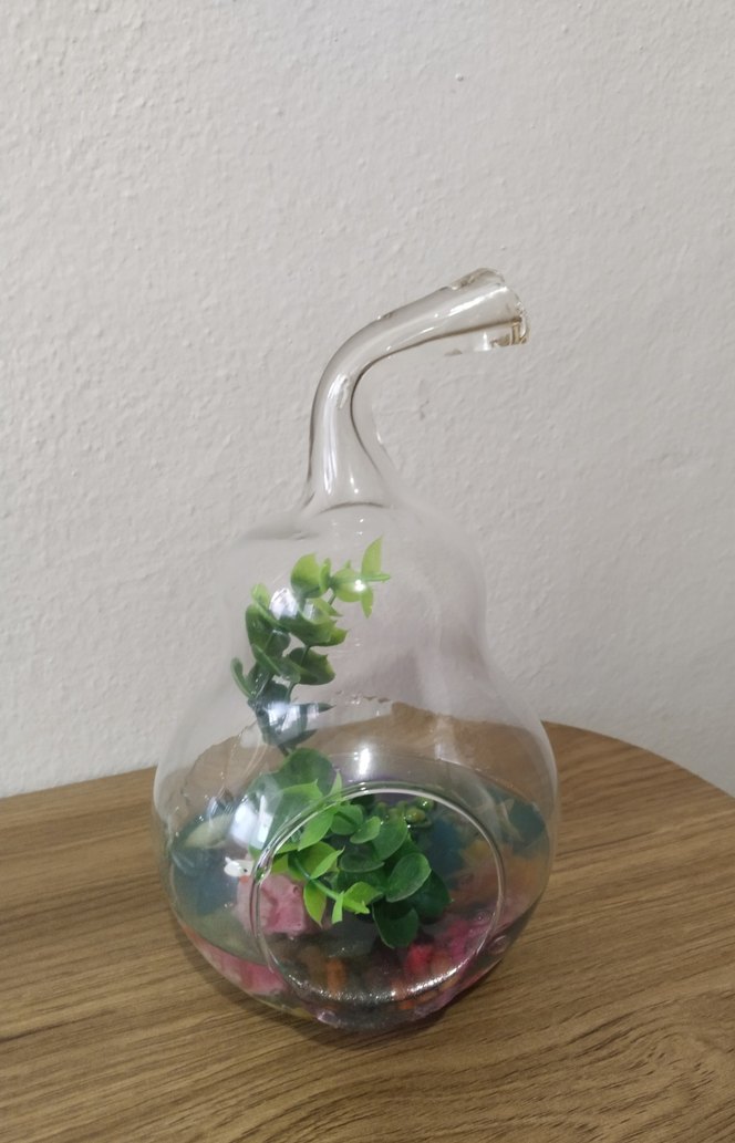 Armut Şeklinde Teraryum Cam Fanus - Görsel 4