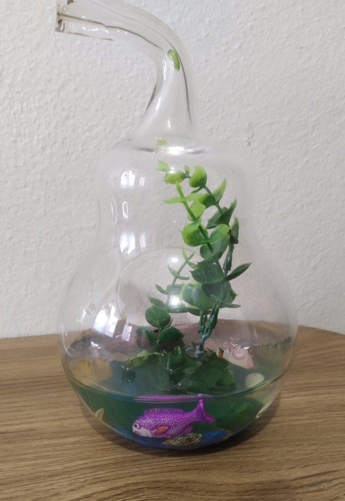 Armut Şeklinde Teraryum Cam Fanus - Görsel 5