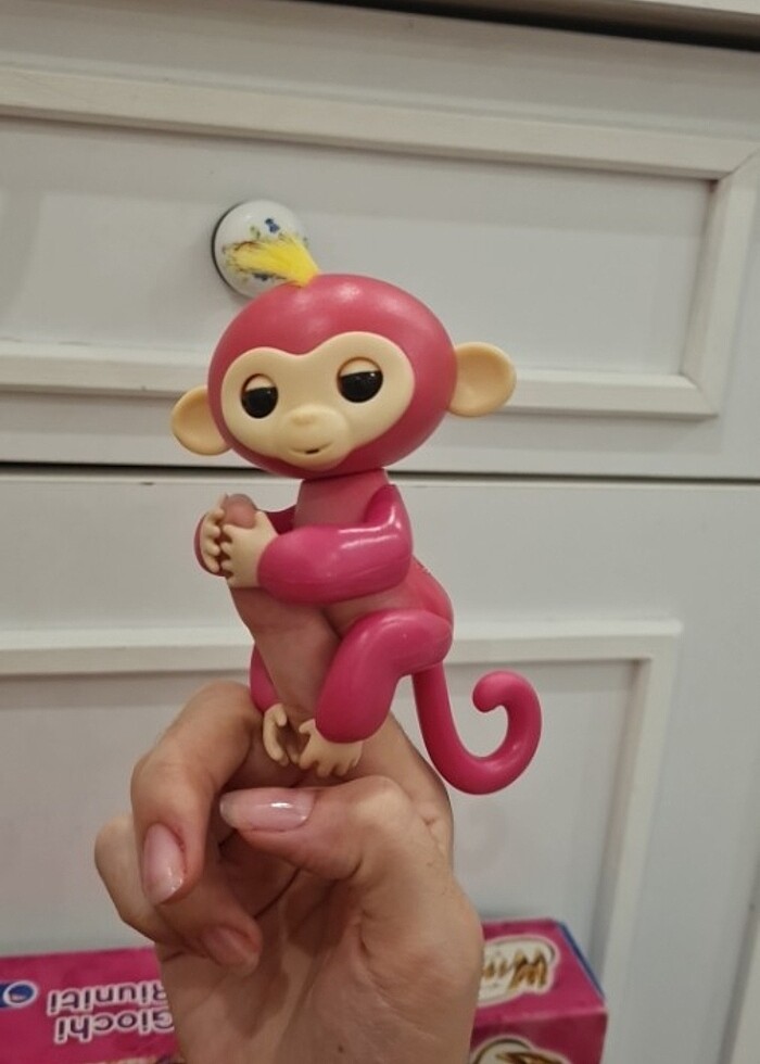 Konuşan maymun - Görsel 2