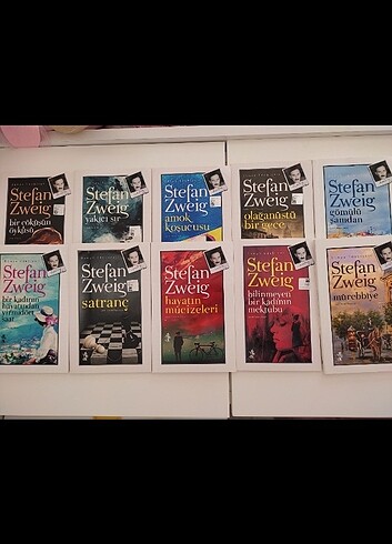 Stefan zweig serisi