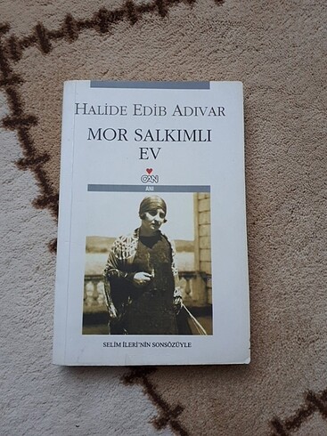 Mor Salkımlı ev Halide edip Adıvar 
