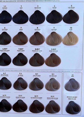 Aseso Adventure Saç Boyası Çeşitleri - Görsel 3