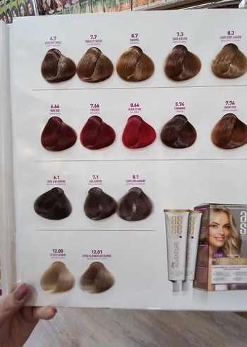 Aseso Adventure Saç Boyası Çeşitleri - Görsel 6