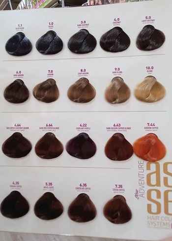 Aseso Adventure Saç Boyası Çeşitleri - Görsel 5