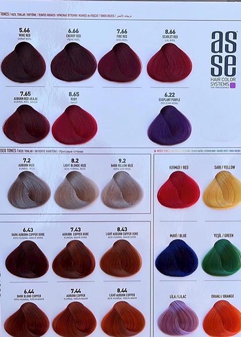 Aseso Adventure Saç Boyası Çeşitleri - Görsel 4
