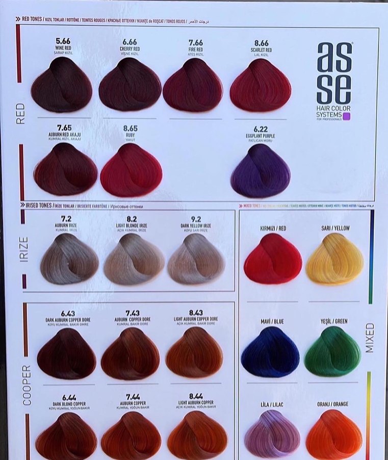 Aseso Adventure Saç Boyası Çeşitleri - Görsel 4