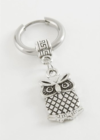 SKuru Kafa Erkek Çelik Küpeler - Görsel 4