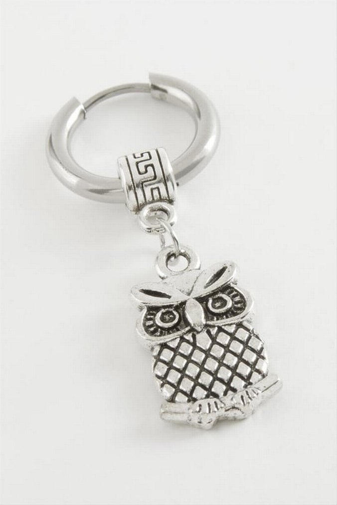 SKuru Kafa Erkek Çelik Küpeler - Görsel 4