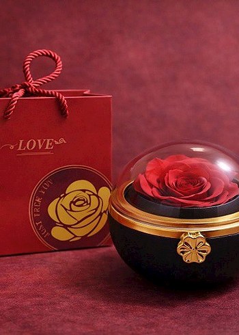 Romantik Gül Yüzük Kutusu
Beyaz Işıltılı Dudak Parlatıcısı - Görsel 3