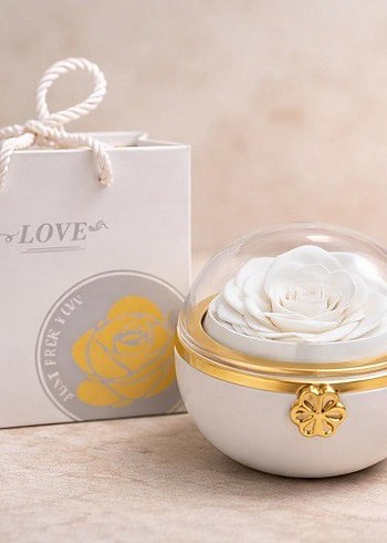 Romantik Gül Yüzük Kutusu
Beyaz Işıltılı Dudak Parlatıcısı - Görsel 5