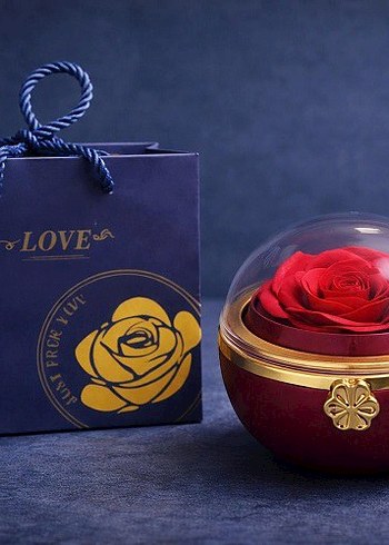 Romantik Gül Yüzük Kutusu
Beyaz Işıltılı Dudak Parlatıcısı - Görsel 4