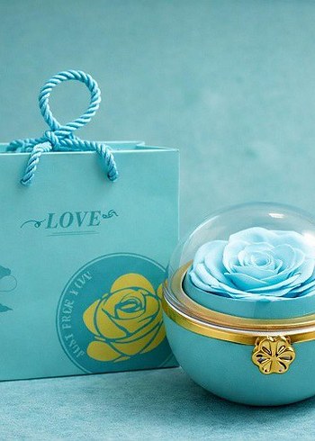 Romantik Gül Yüzük Kutusu
Beyaz Işıltılı Dudak Parlatıcısı - Görsel 6