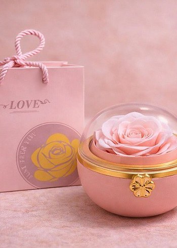 Romantik Gül Yüzük Kutusu
Beyaz Işıltılı Dudak Parlatıcısı - Görsel 7