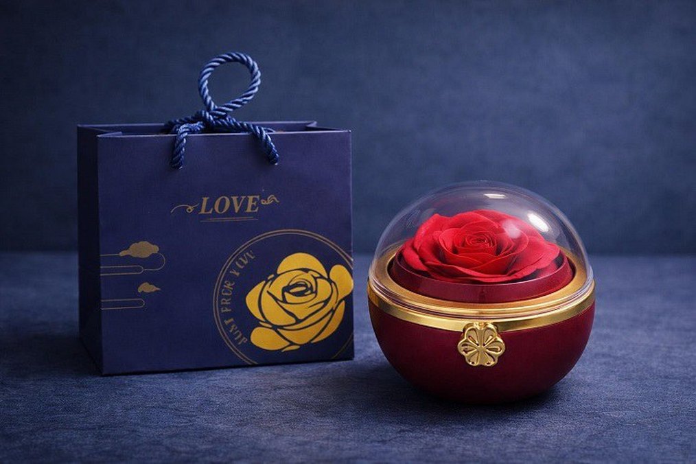 Romantik Gül Yüzük Kutusu
Beyaz Işıltılı Dudak Parlatıcısı - Görsel 4