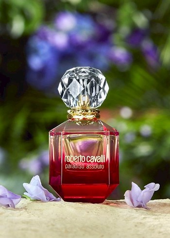 Roberto Cavalli Paradiso Assoluto 75 Ml Edp Parfüm