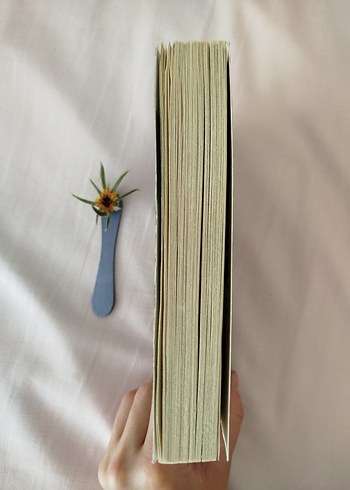 Sherlock Holmes Korku Vadisi Romanı - Görsel 2