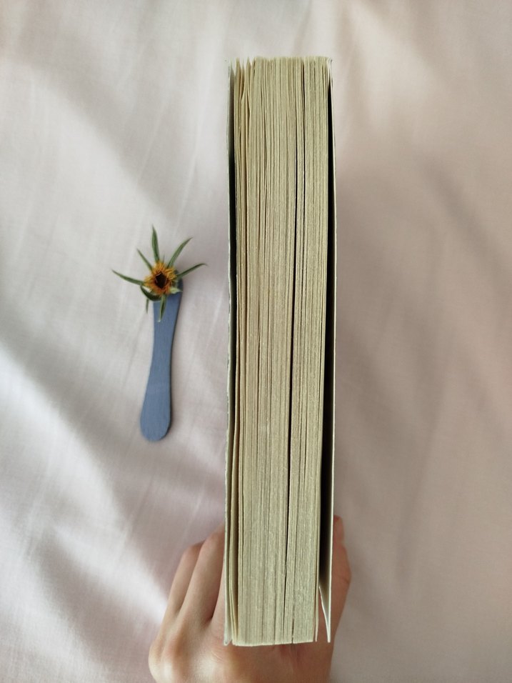 Sherlock Holmes Korku Vadisi Romanı - Görsel 2