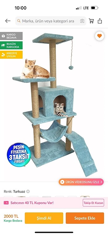Yepyeni kedi evi