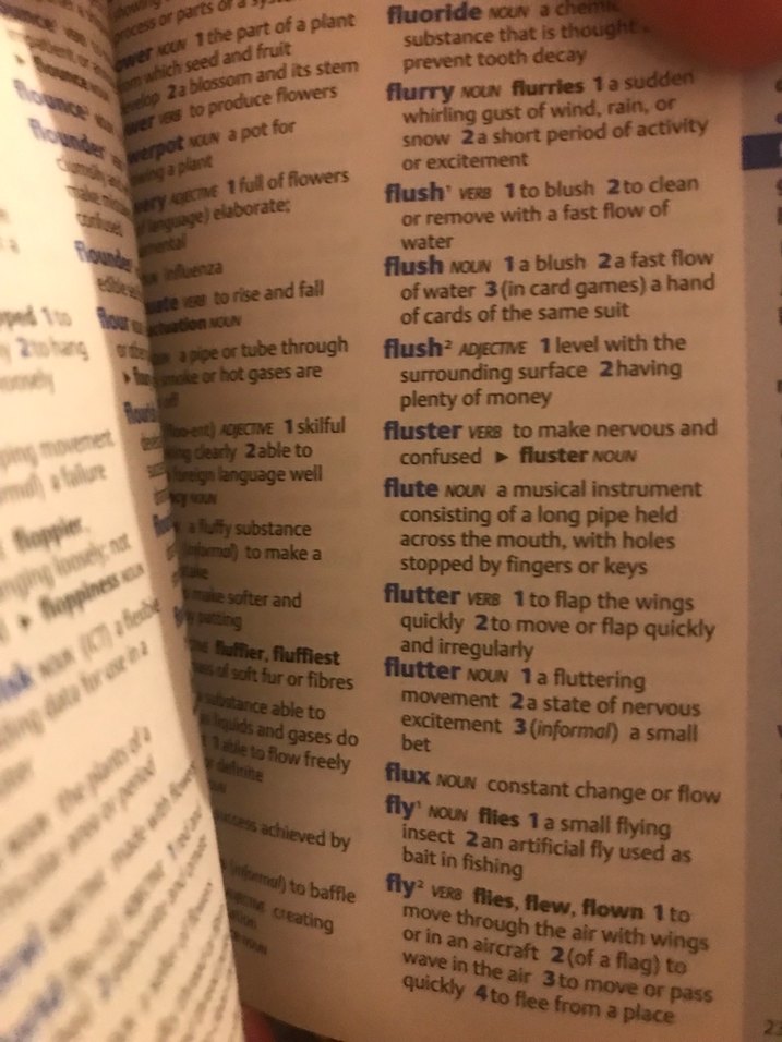 Oxford Mini Okul Sözlüğü - Görsel 3