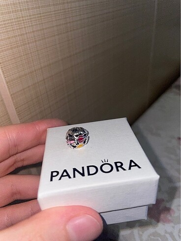 Pandora Pandora charm