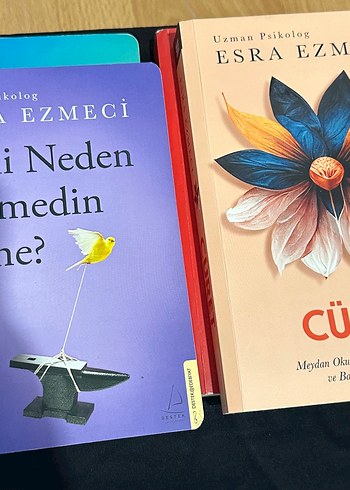 Beden Gizli Yaralar - Esra Ezmeci