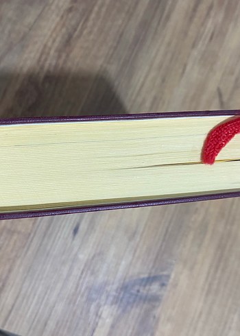 Dini Meselelerimiz Cilt 6 - Mehmet Talü - Görsel 7