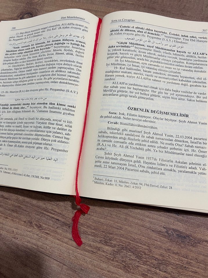 Dini Meselelerimiz Cilt 6 - Mehmet Talü - Görsel 4