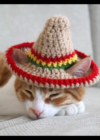 Örme Kurbağa Figürlü Kedi Şapkası - Görsel 3