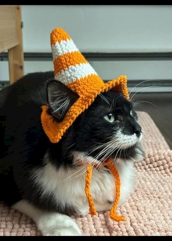 Örme Kurbağa Figürlü Kedi Şapkası - Görsel 2