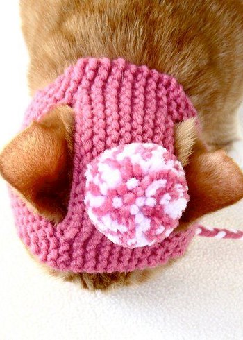 Örme Kurbağa Figürlü Kedi Şapkası - Görsel 6