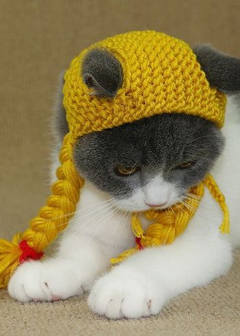 Örme Kurbağa Figürlü Kedi Şapkası - Görsel 5