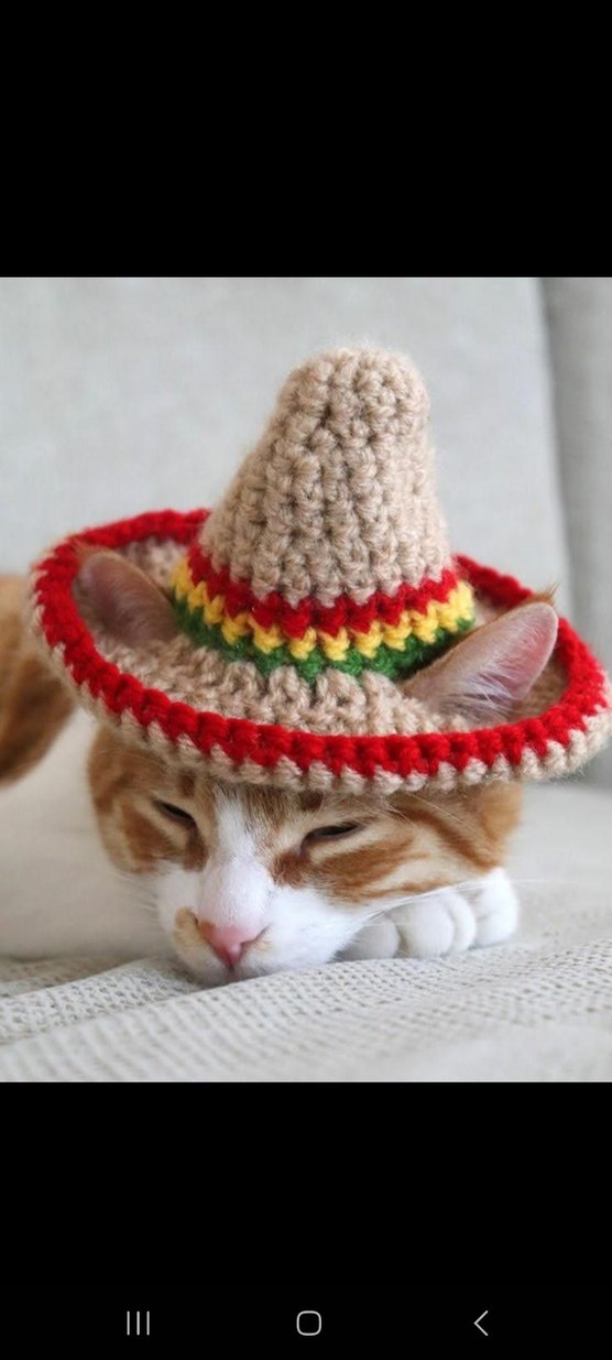 Örme Kurbağa Figürlü Kedi Şapkası - Görsel 3