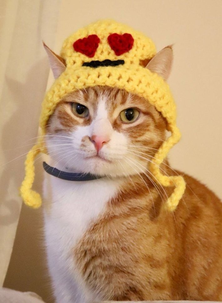 Örme Kurbağa Figürlü Kedi Şapkası - Görsel 4