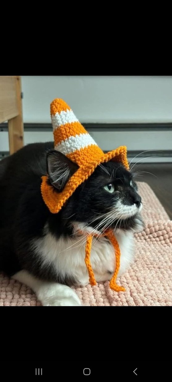 Örme Kurbağa Figürlü Kedi Şapkası - Görsel 2